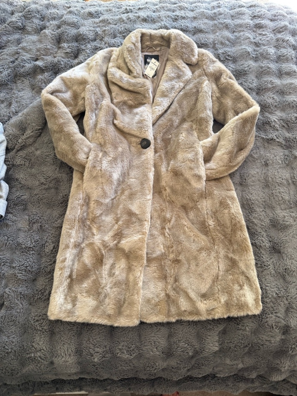 Express Women's Plush Single-Button Teddy Coat - Beige